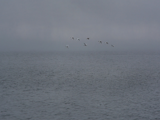 Політ у безодню