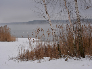 Зимовий етюд