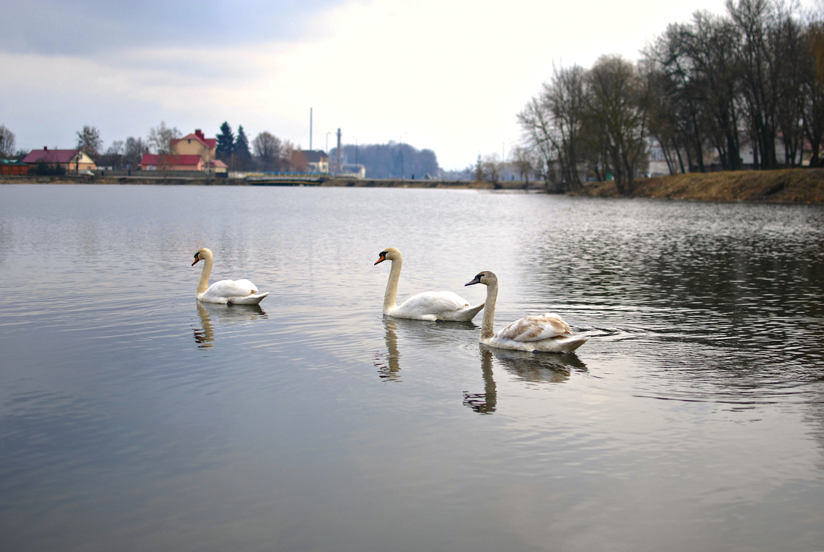 Прихід весни