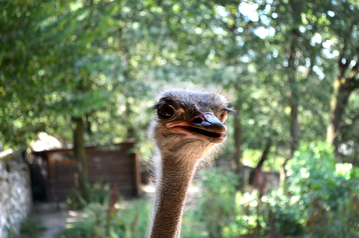 Я - красуня!