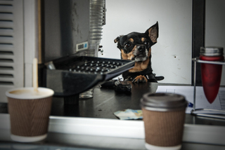 Два латте, будь ласка