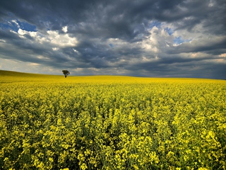 waiting for the storm