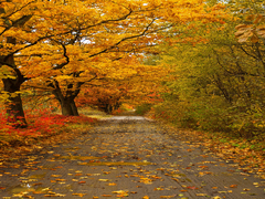 From summer to autumn