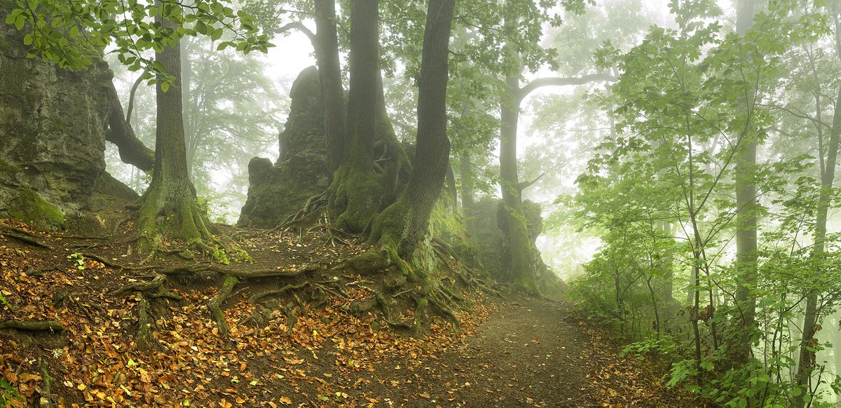 Cesta na Pustý hrad