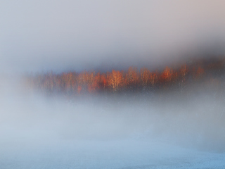 Winter fog