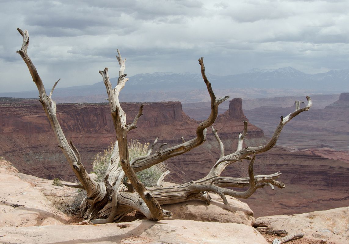 Dead Horse Point
