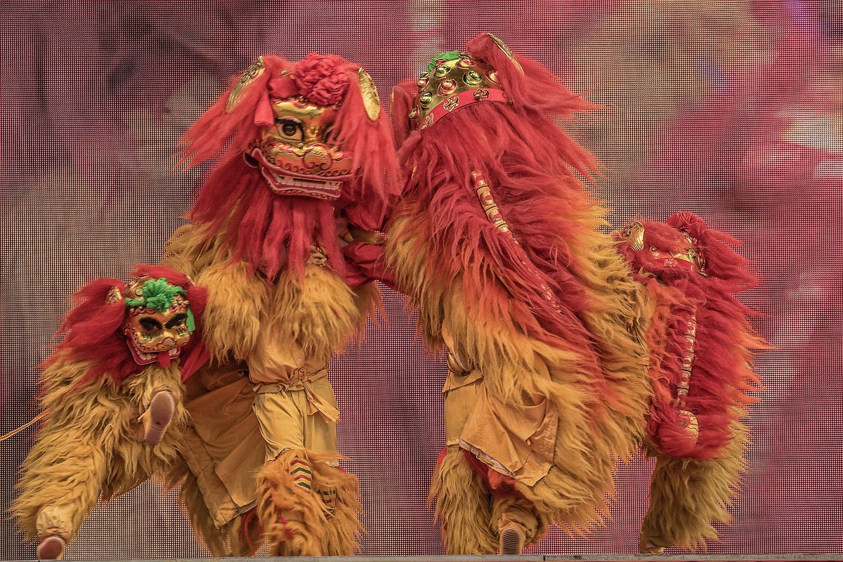 The lion dance