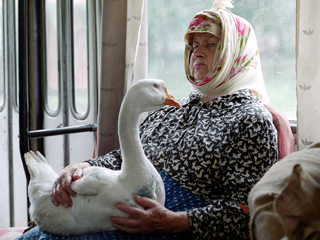 On the way to the market