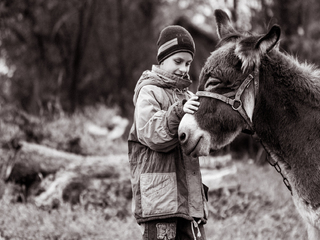 Friends. Ukrainian Polissia