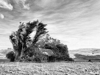 Slope point hut NZ