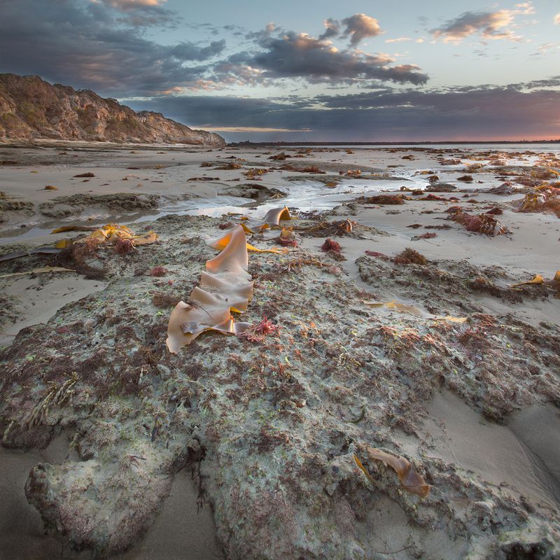 Point Lonsdale Early