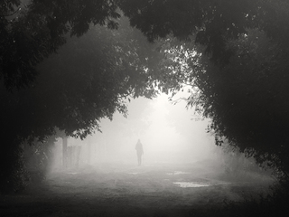 світло та тінь