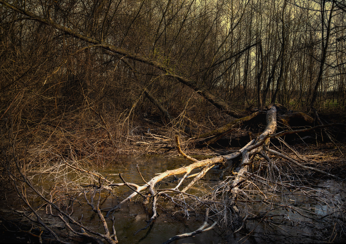 Чорне та біле, різні стадії буття