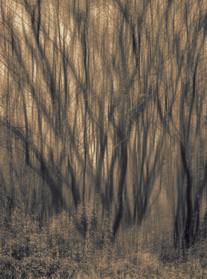 Звичайна мить природи...