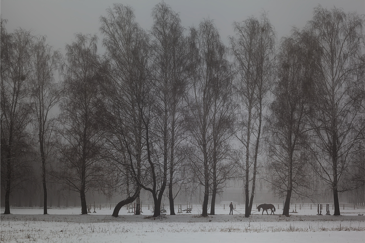 winter entertainment