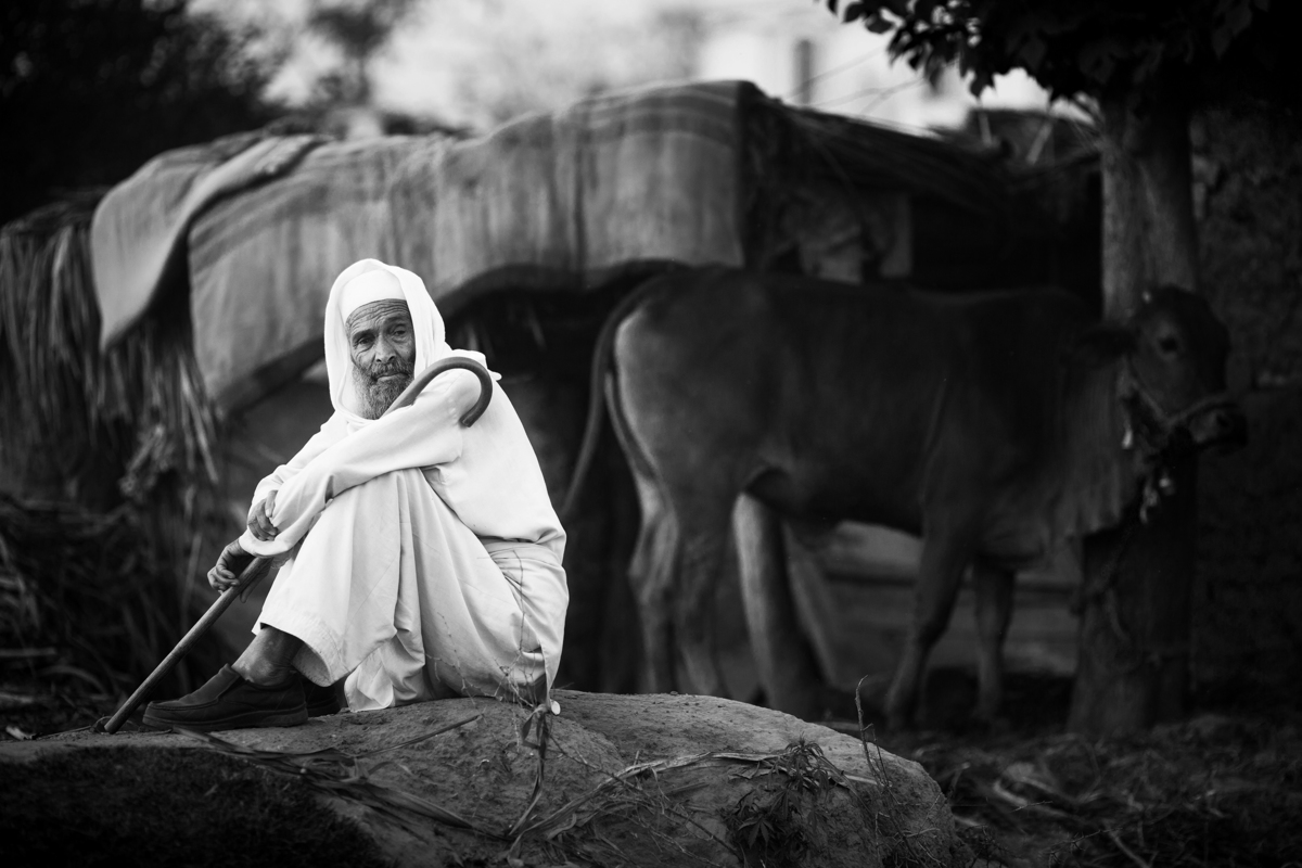 Пастух у дороги