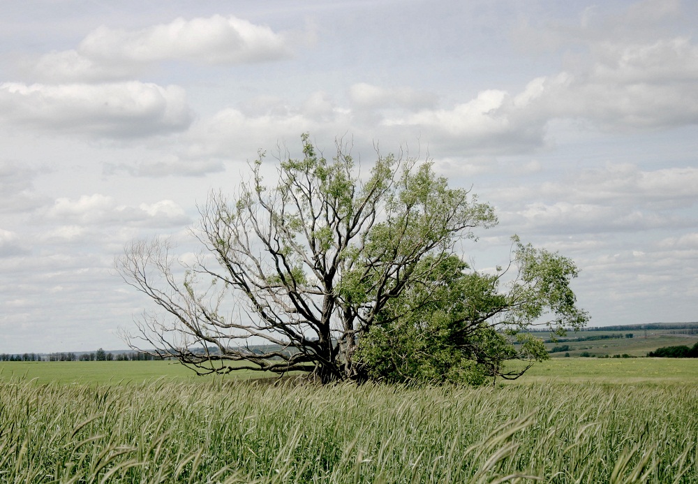 Наполовину