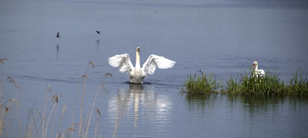 Нарешті вдома!