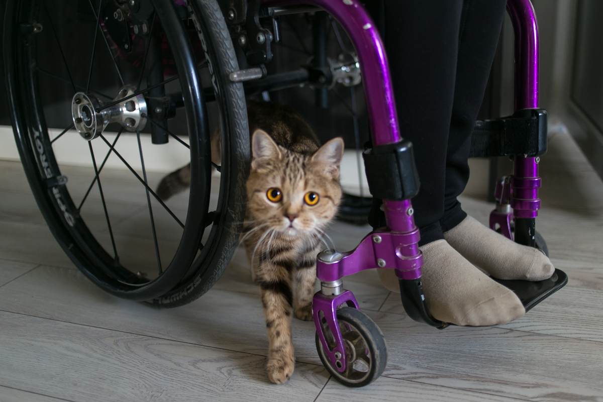 Про дружную крепкую и добрую семью.