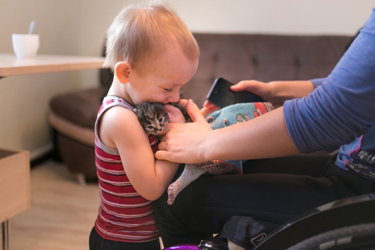 Про дружную крепкую и добрую семью.