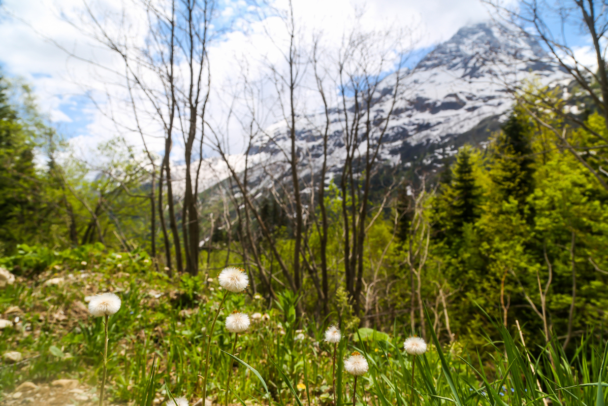Кавказские горы
