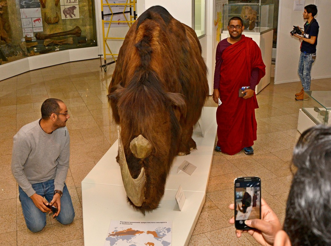 Я поведу тебя в музей...