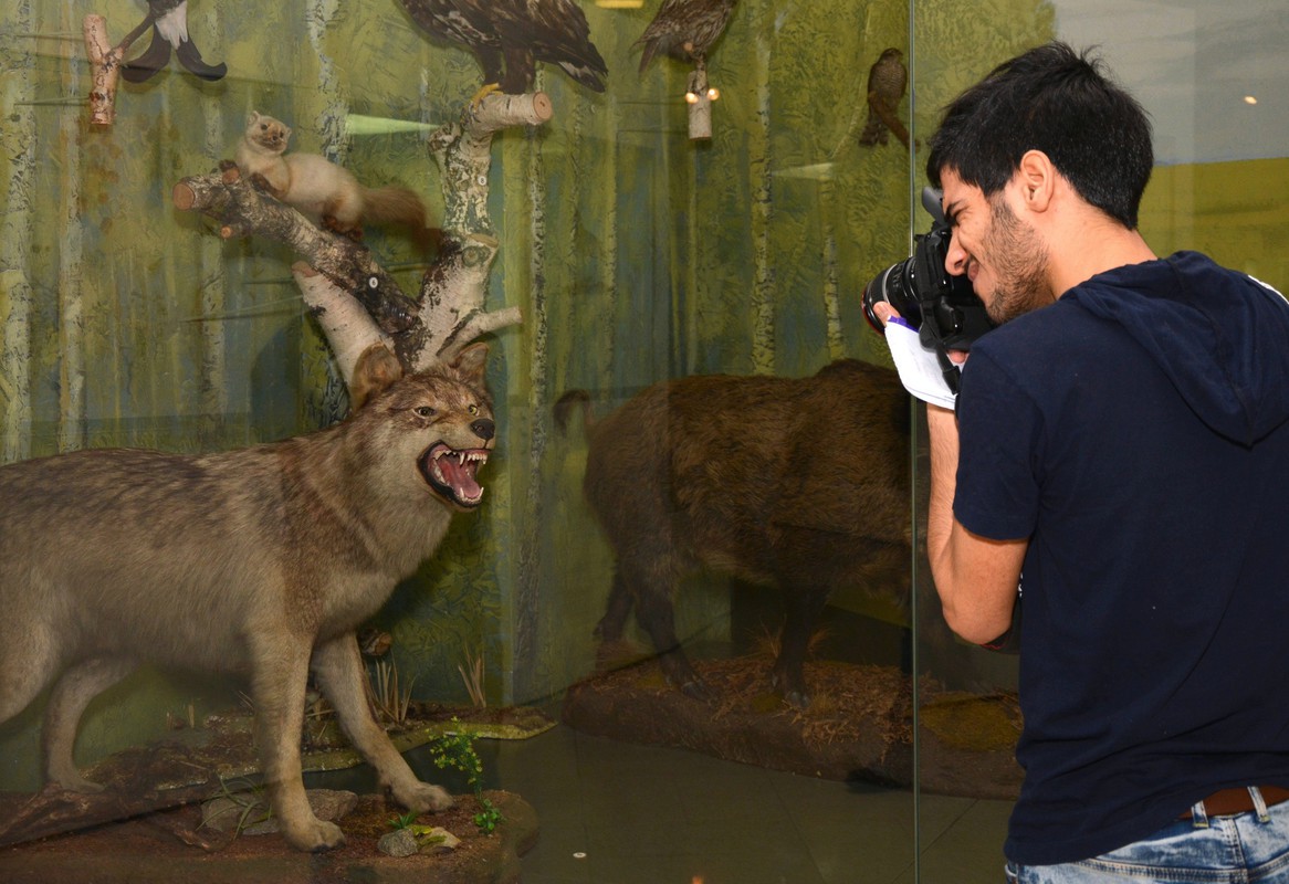 Я поведу тебя в музей...