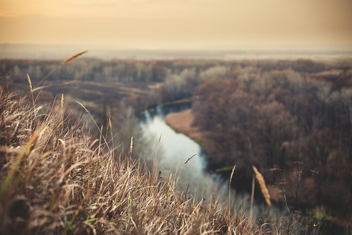 Осенний пейзаж