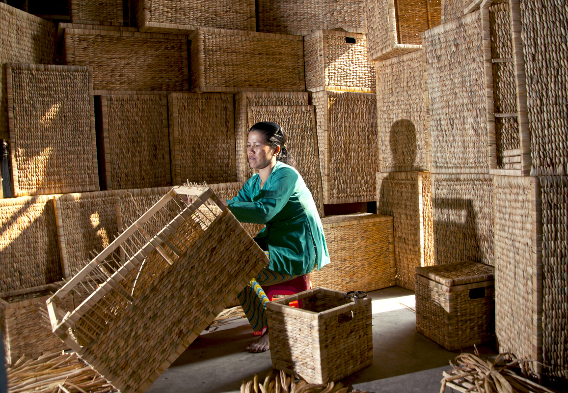 Water Hyacinth product