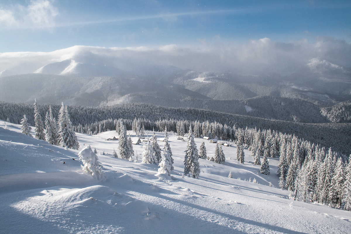 На  зимовій  полонині.