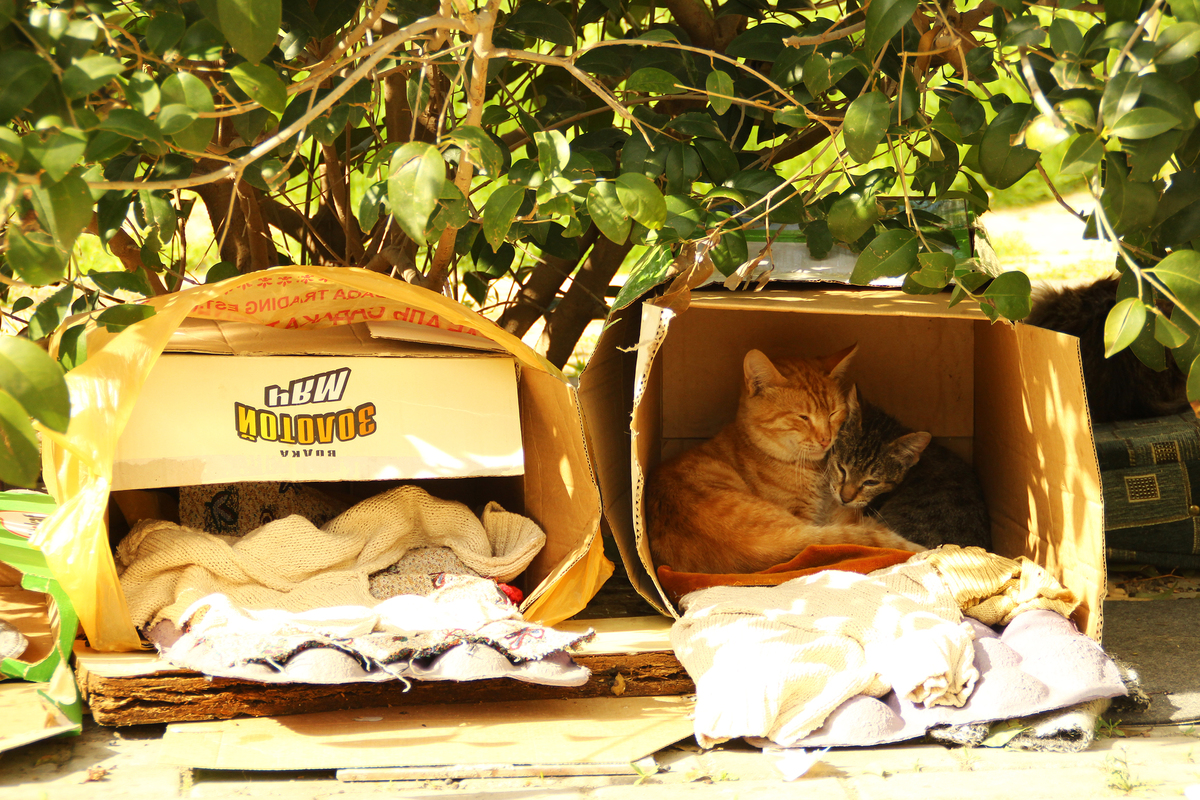 Нам нужна помощь