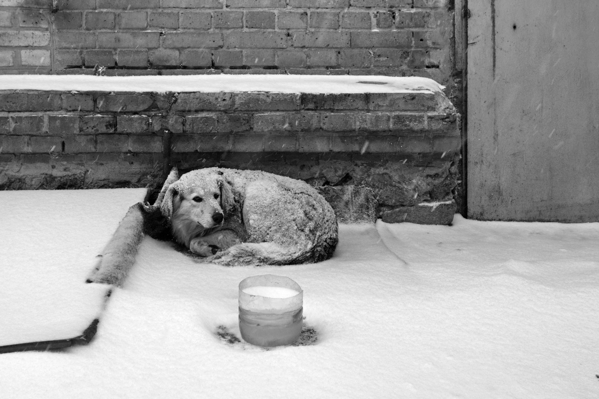 коли нема куди йти 2