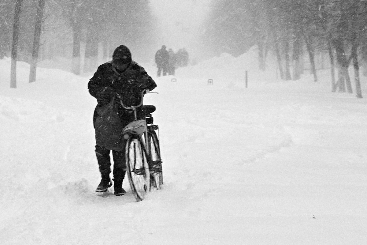 капризи природи