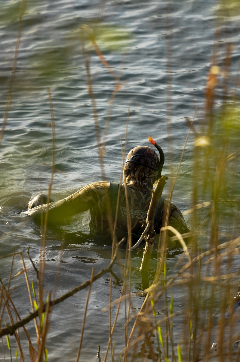 ПОГРУЖЕНИЕ . . .