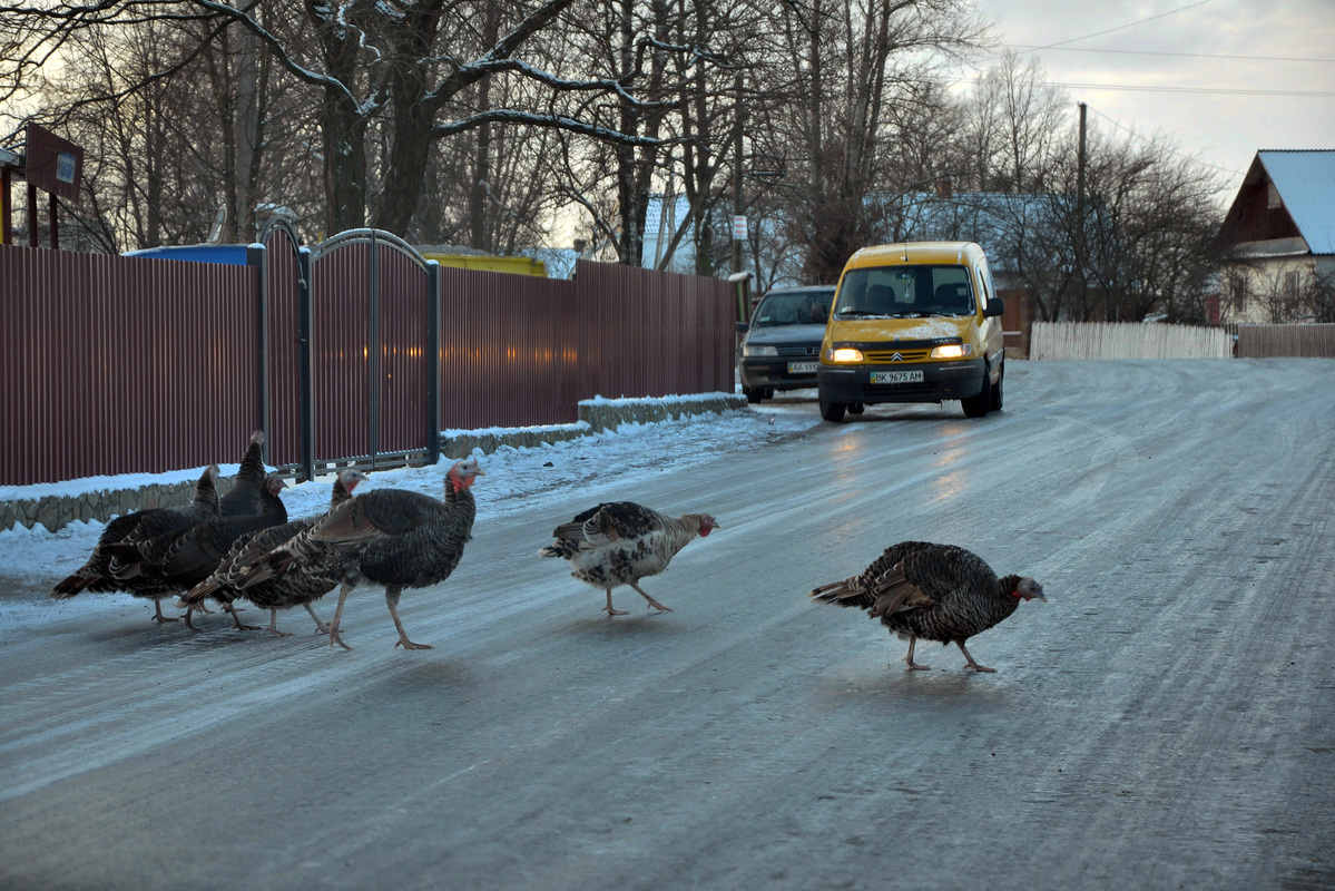 Обережно - слизько.