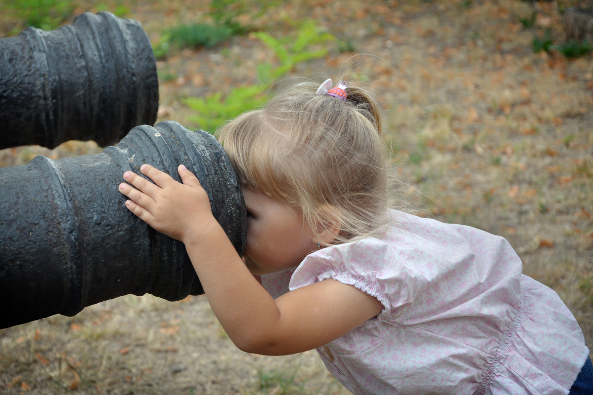 Коли мовчать гармати.