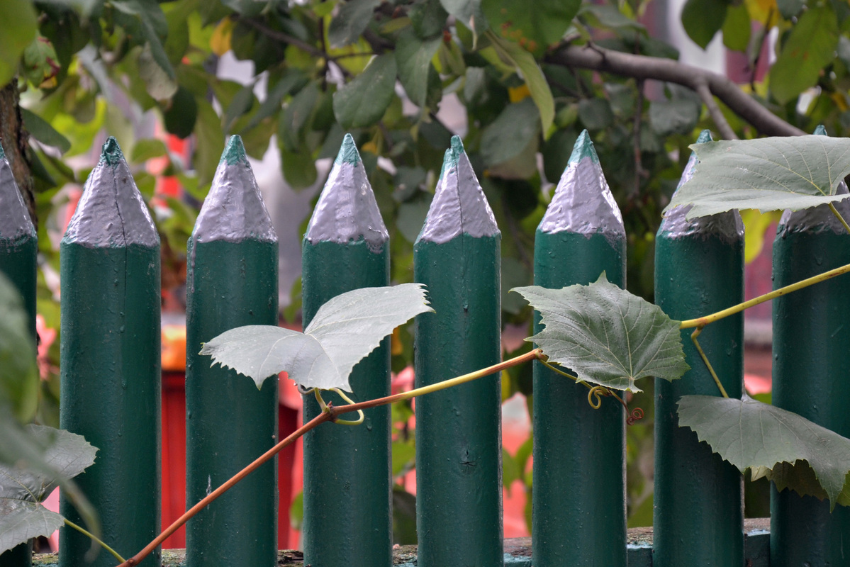 Буде чим траву розфарбувати