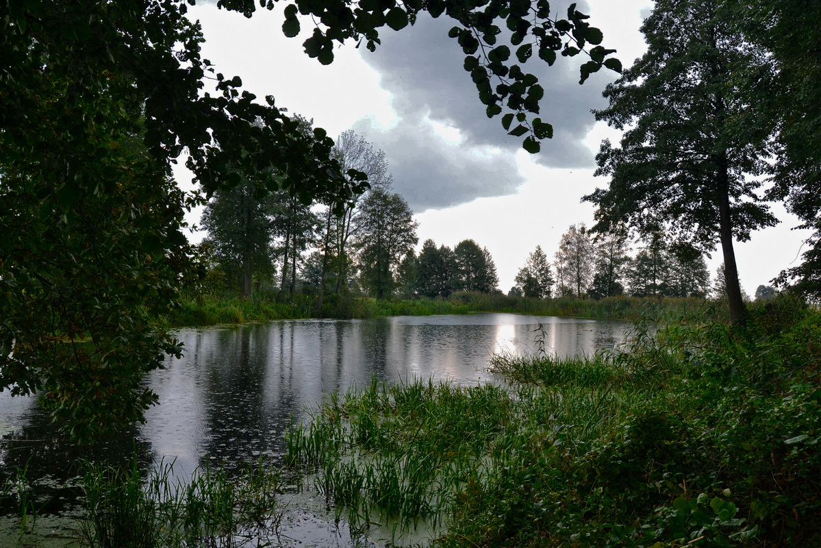 Завтра - осінь