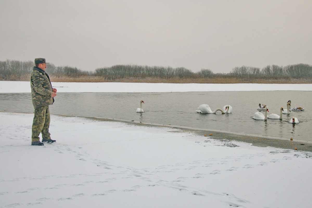 Врятувати, зберегти