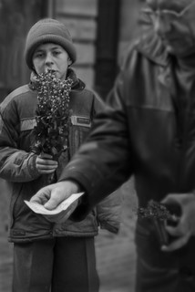 Вербна неділя