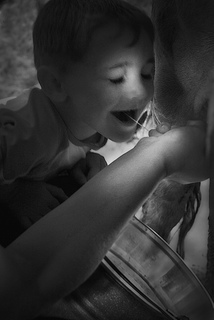 Свіже молоко