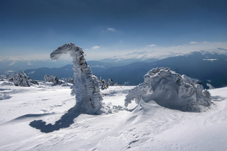 Динозавр Карпат