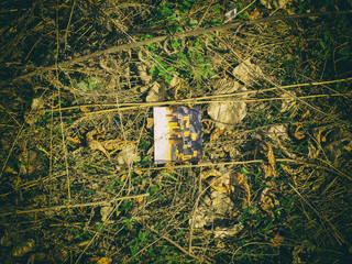 Загублене місто