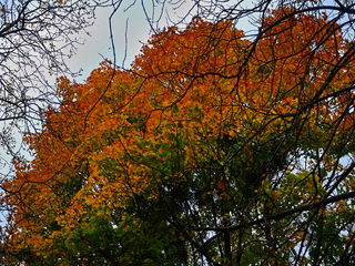 Осіння веселка