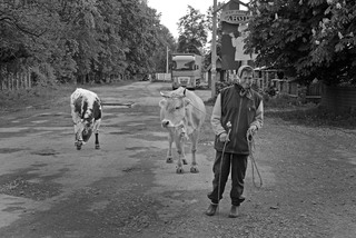 Сільське життя