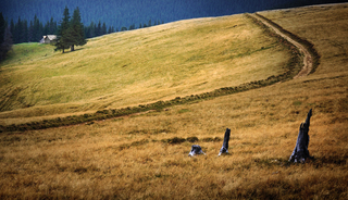 Далекий хутір