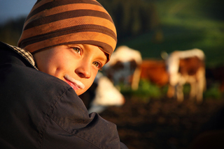 Парне молоко