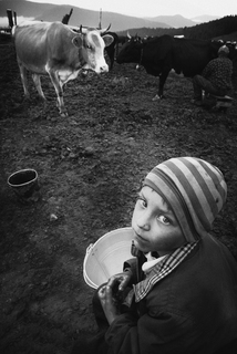 Територія дитинства