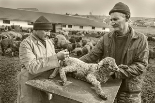 Своевременная помощь