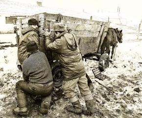 Эх, дороги...